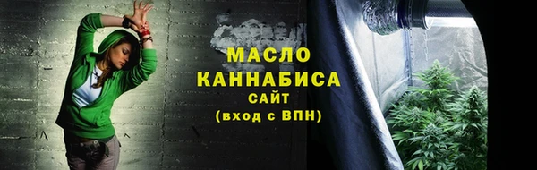 Альфа ПВП Горняк