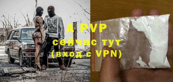 Альфа ПВП Горняк