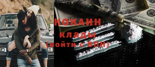 Альфа ПВП Горняк