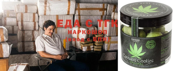 Альфа ПВП Горняк