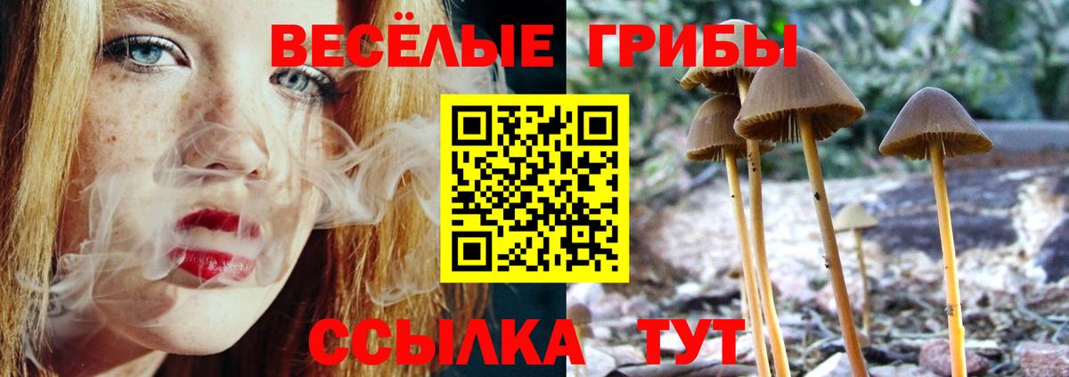 Ноябрьск  Псилоцибиновые грибы ЛСД  Вход с VPN 